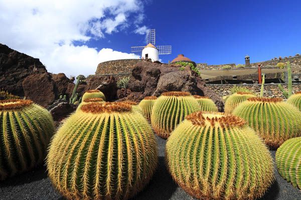 Jardin de Cactus de Lanzarote