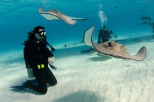 Nadando con mantas rayas en Gran Caimán