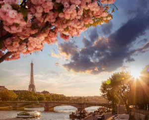 Crucero fluvial por el Sena desde París