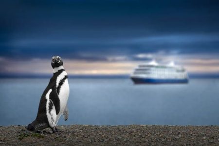 Crucero por los fiordos chilenos, la Patagonia y el Fin del Mundo