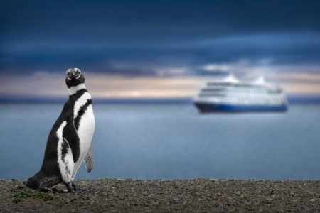 ¿Qué zonas puedo visitar en un crucero?
