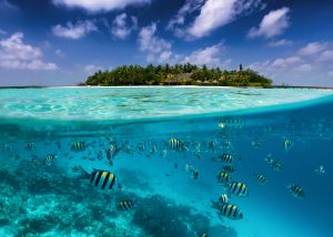 Islas Madivas crucero vuelta al mundo